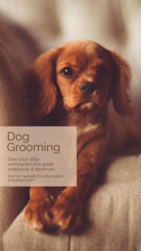 Dog grooming Instagram story template, editable text