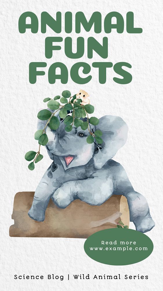 Animal fun facts  Instagram story template, editable text