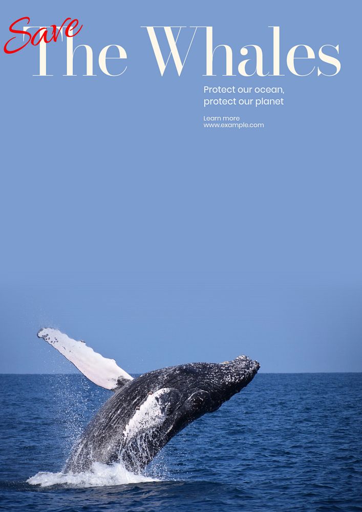 Save the whales poster template, editable text and design