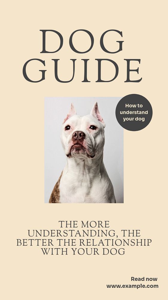 Dog guide Instagram story template, editable text