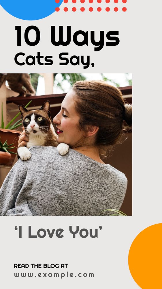 Cat lovers  Instagram story template, editable text