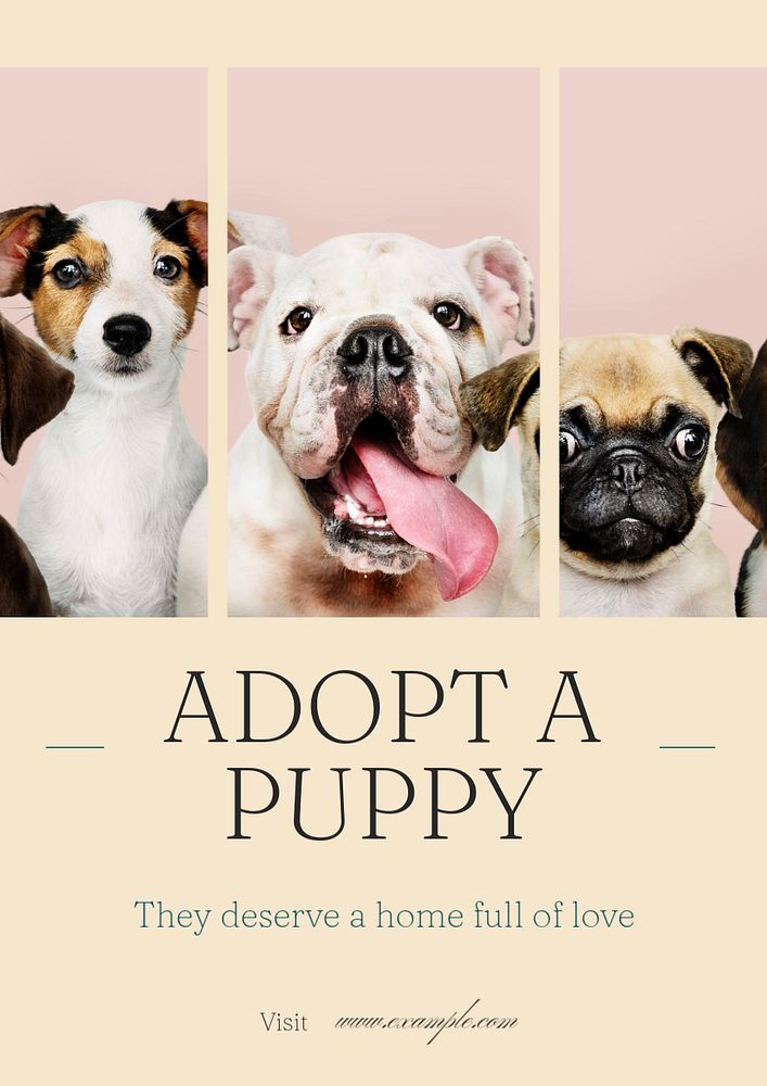 Adopt Puppy  poster template, editable text and design