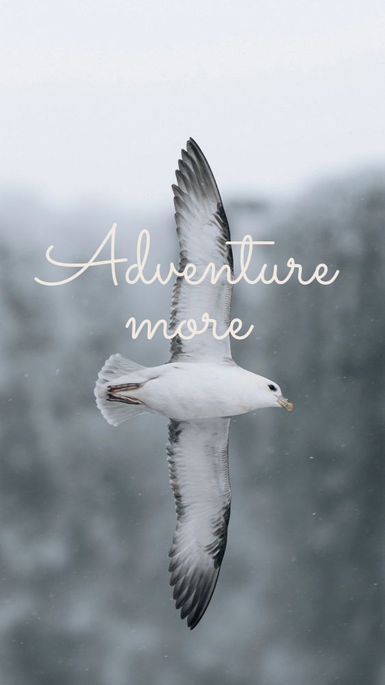 Adventure more Instagram story template, editable design