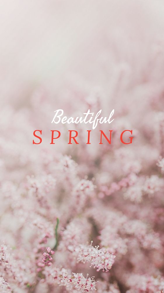 Beautiful spring Instagram story template, editable design