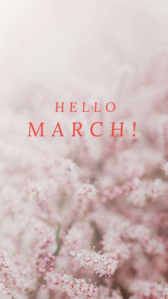 Hello March! Instagram story template, editable design