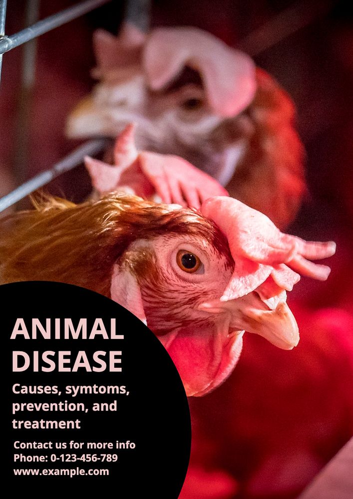 Animal disease  poster template, editable text and design