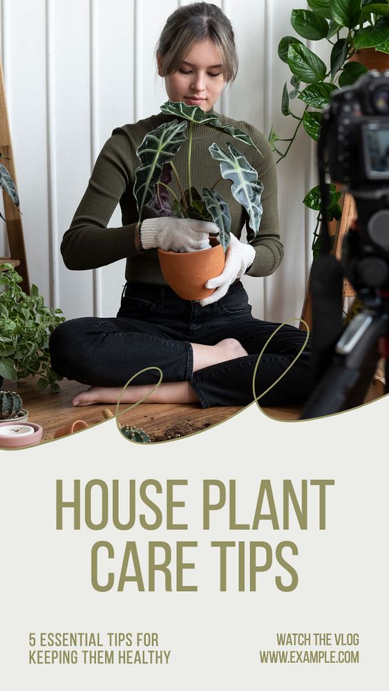 House plant care Instagram story template, editable text