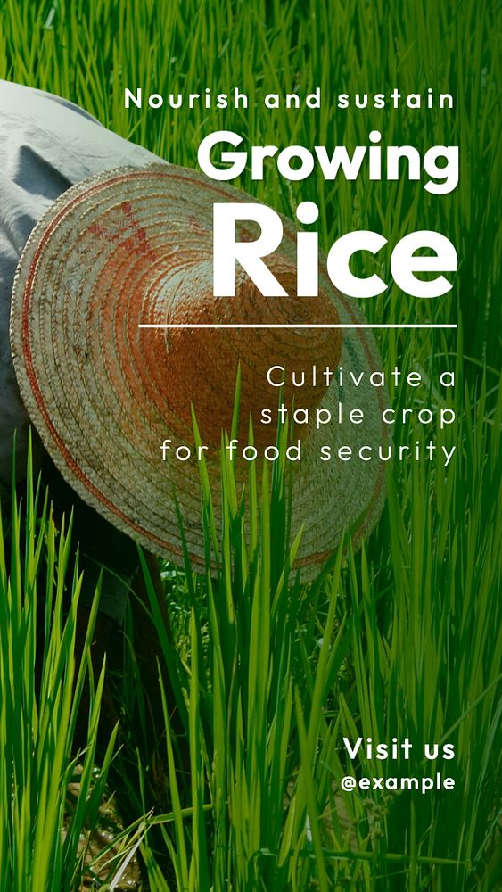 Rice  Instagram story template, editable text