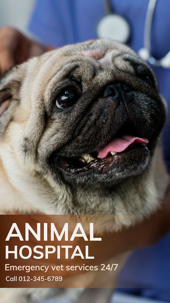 Animal hospital  Instagram story template, editable text