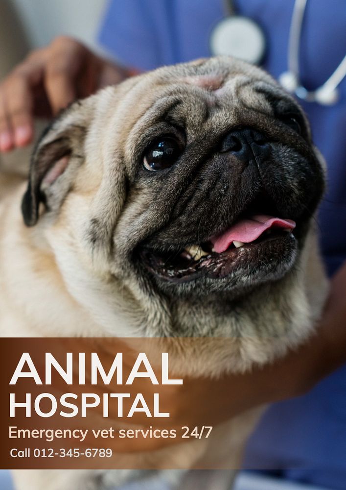 Animal hospital  poster template, editable text and design