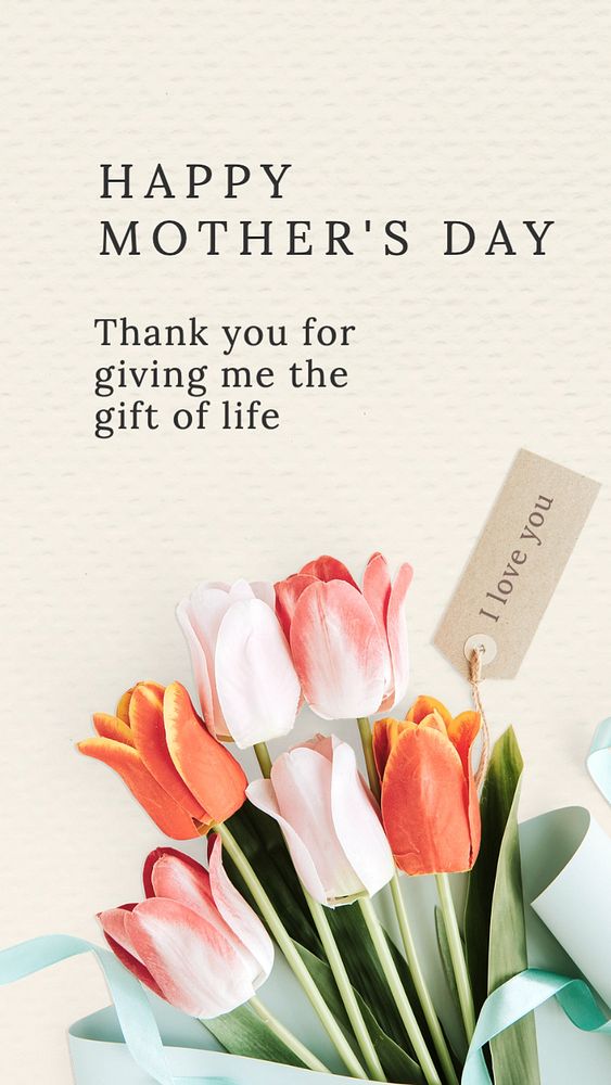 Happy mother's day  Instagram story template, editable text