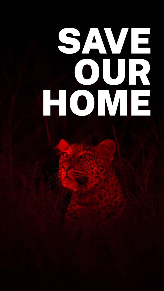 Save our home Instagram story template, editable text