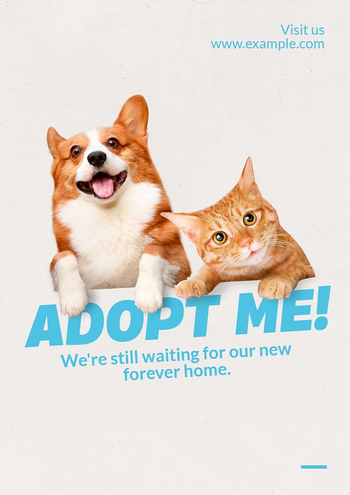 Pet adoption  poster template, editable text and design