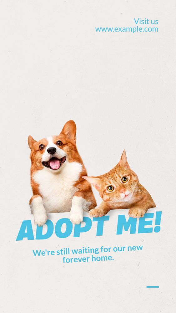 Pet adoption  Instagram story template, editable text