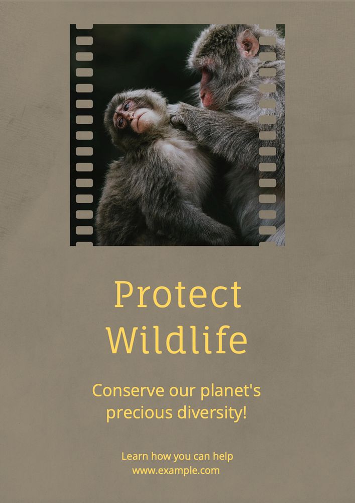 Protect wildlife  poster template, editable text and design