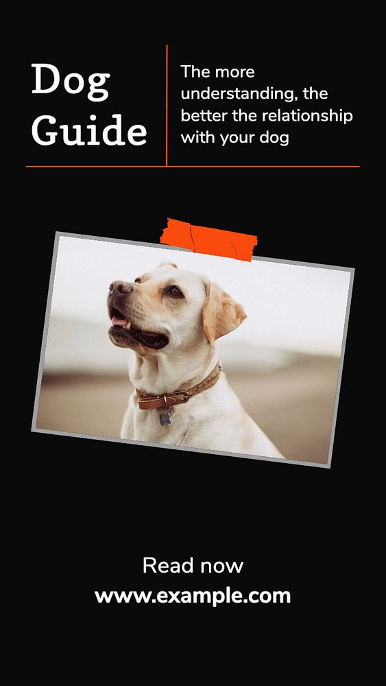 Dog guide  Instagram story template, editable text