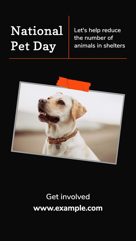 National pet day  Instagram story template, editable text