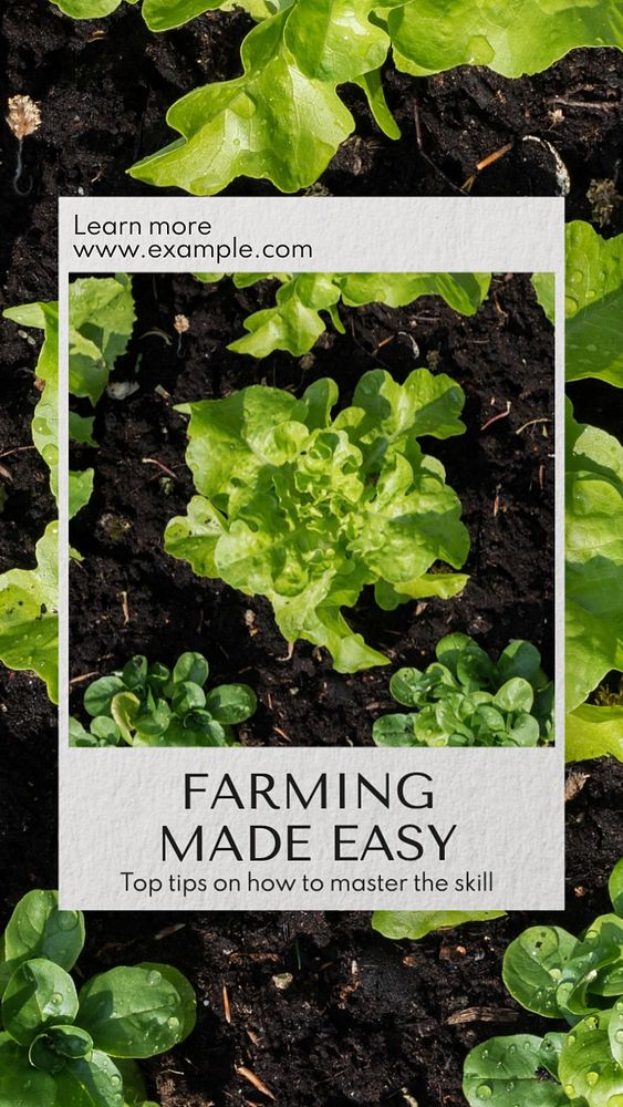 Farming made easy  Instagram story template, editable text