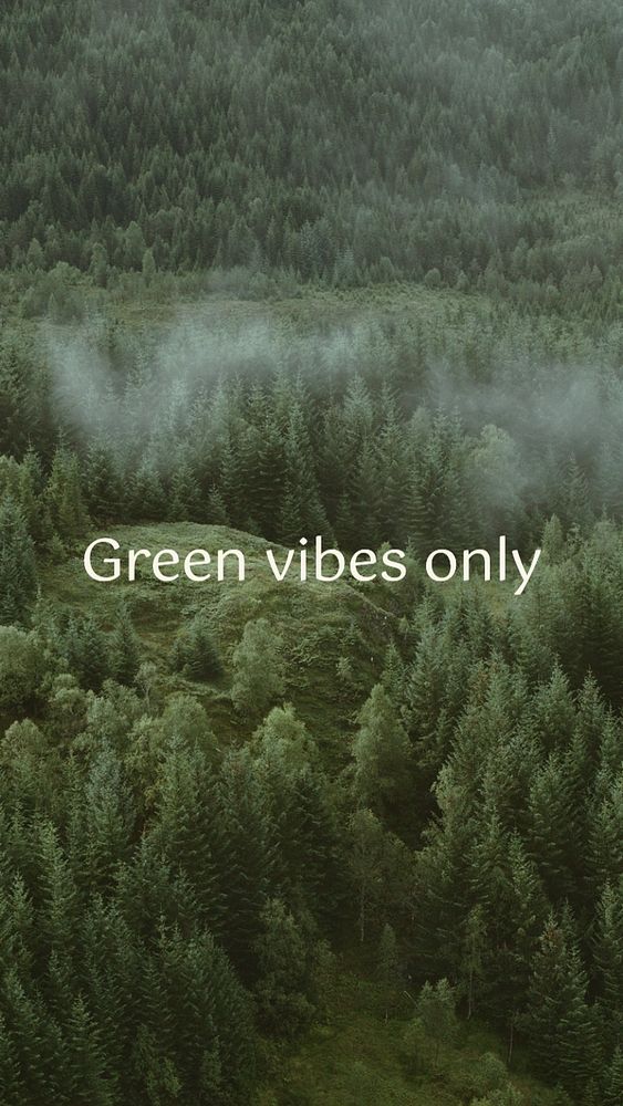 Green vibes only  Instagram story template, editable text