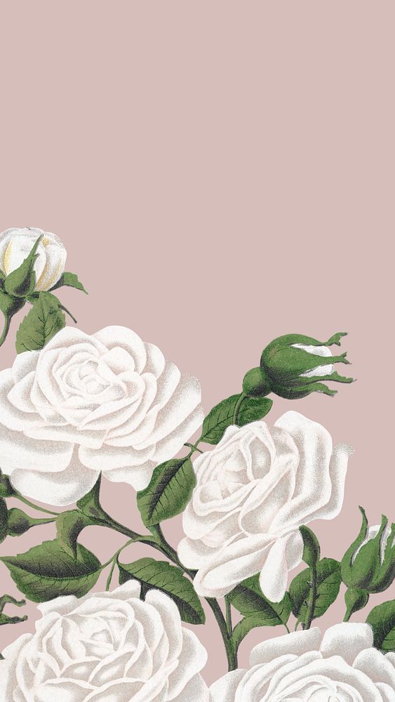 White rose border, iPhone wallpaper, editable design