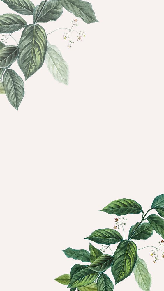 Editable tropical mobile wallpaper, green leaf border design