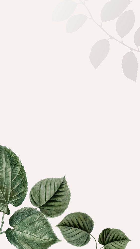 Tropical mobile wallpaper, editable green leaf border design