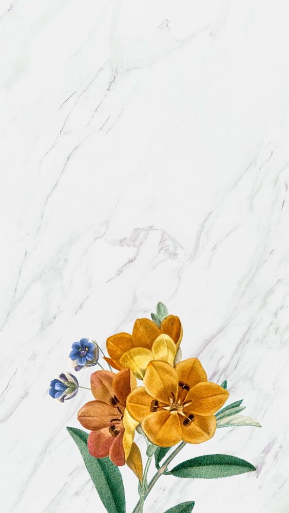 Floral border iPhone wallpaper, editable white design