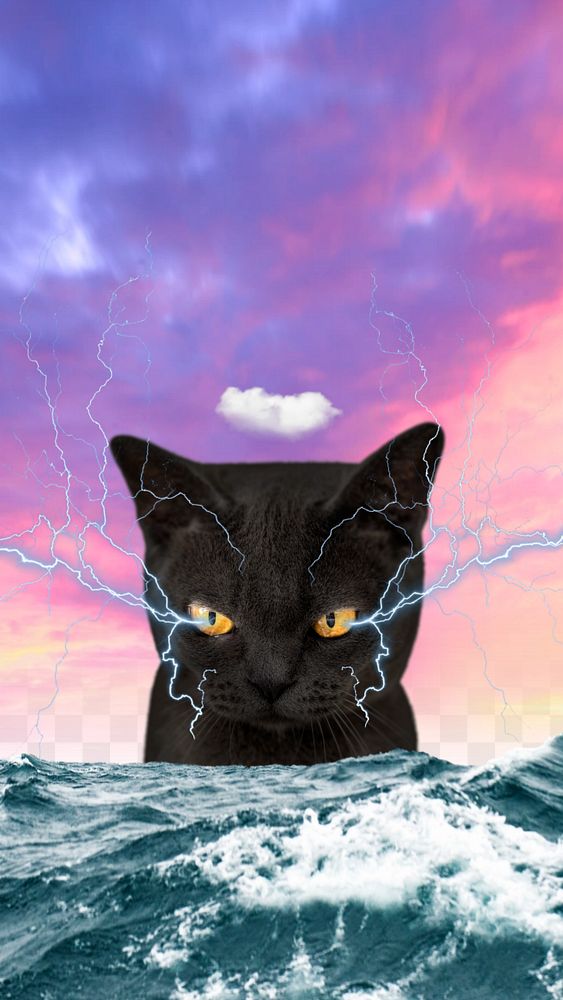 Grumpy cat iPhone wallpaper, surreal ocean background