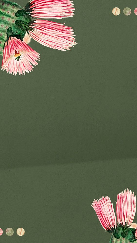 Cactus illustration iPhone wallpaper, editable design border