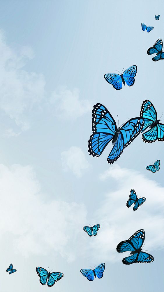 Editable butterfly sky   phone wallpaper