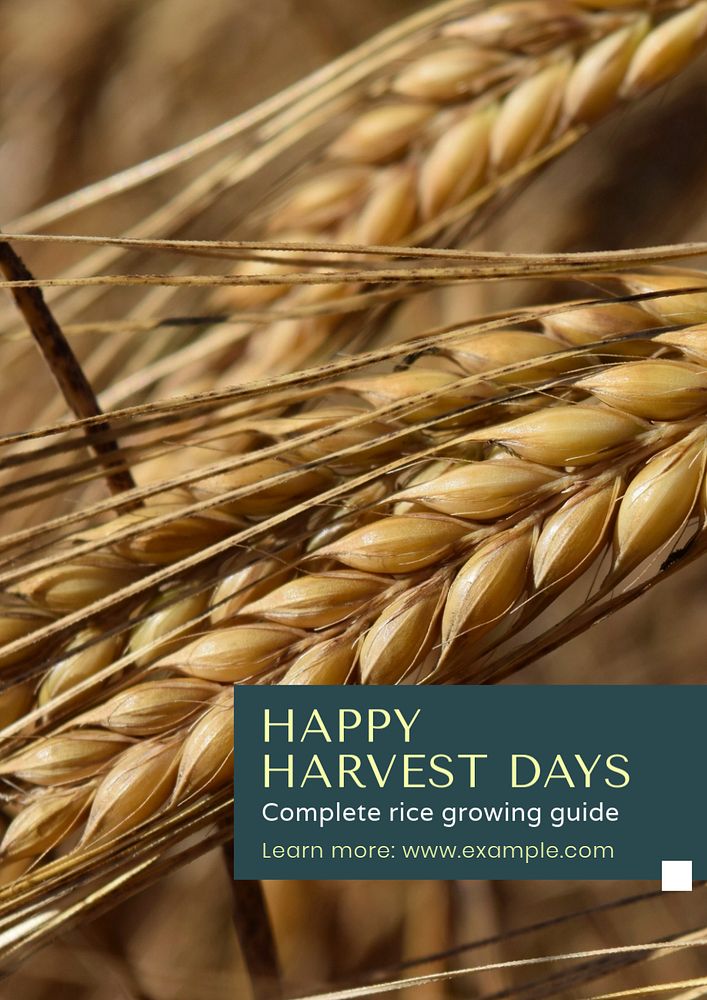 Happy harvest days  poster template, editable text and design