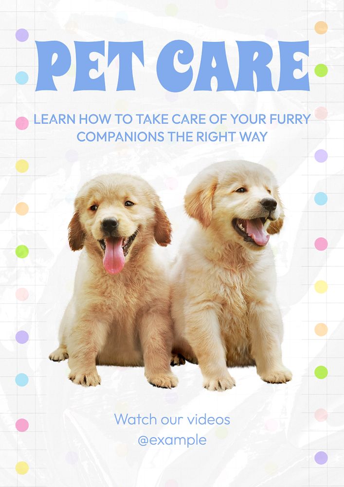 Pet care tutorials poster template, editable text and design