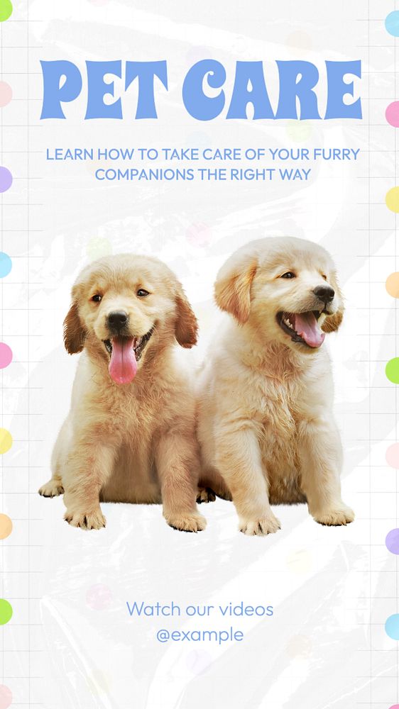 Pet care tutorials Facebook story template, editable design