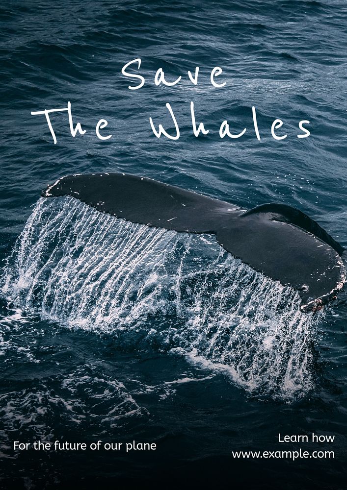 Save the whales poster template, editable text and design