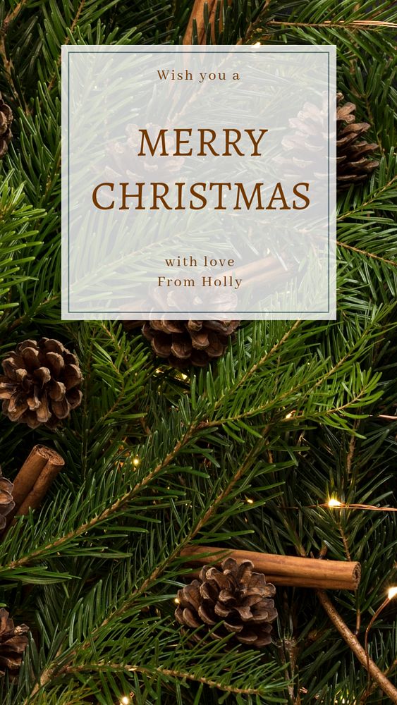 Merry Christmas  Instagram story template, editable text