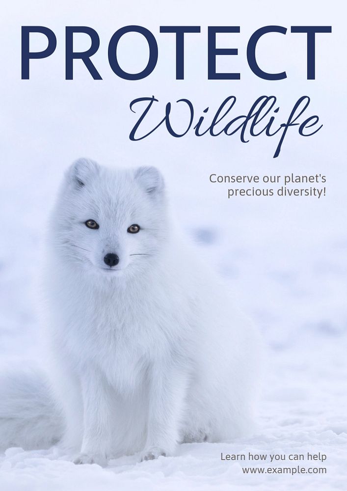 Protect wildlife poster template, editable text and design 