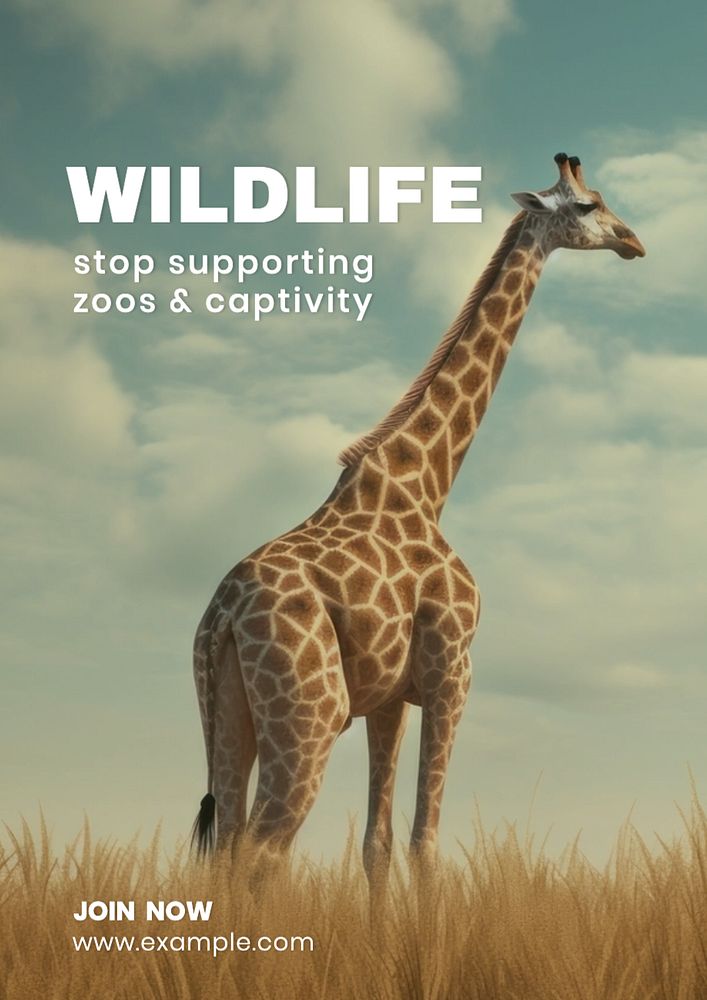 Wildlife poster template, editable text and design