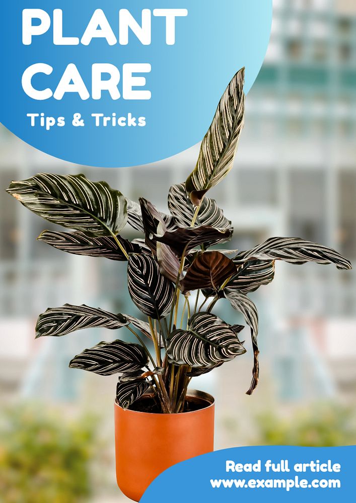 Plant care tips poster template, editable text and design