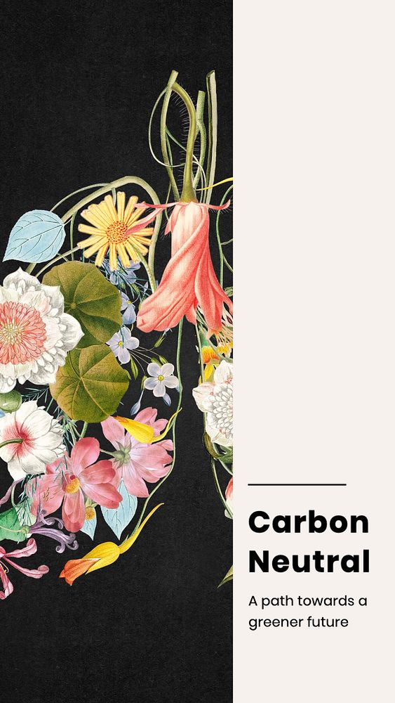 Carbon neutral  Instagram story template, editable text