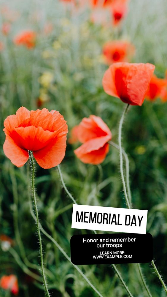 Memorial day  Instagram story template, editable text