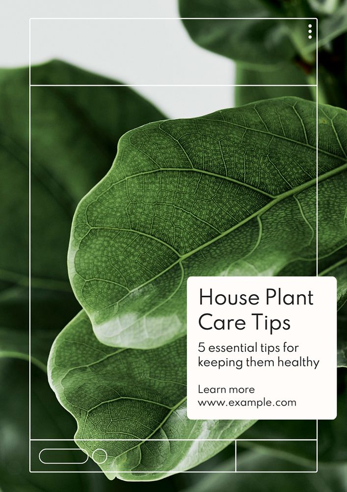 House plant care  poster template, editable text and design