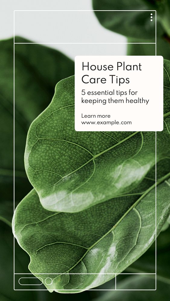 House plant care  Instagram story template, editable text