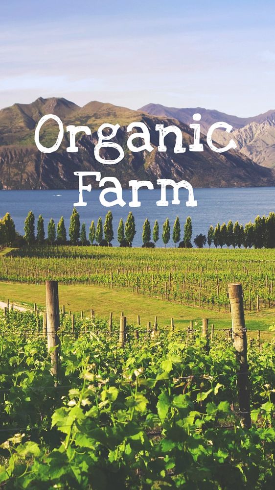 Organic farm  Instagram story template, editable text