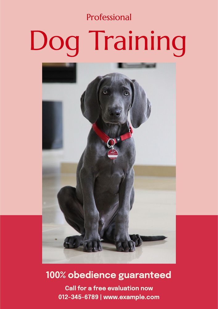 Dog training  poster template, editable text and design