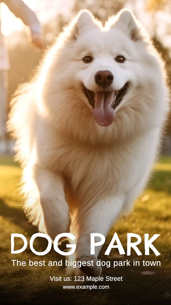 Dog park Instagram story template, editable text