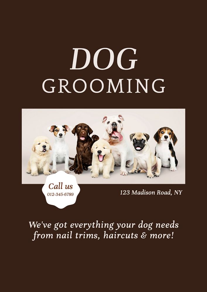 Dog grooming  poster template, editable text and design