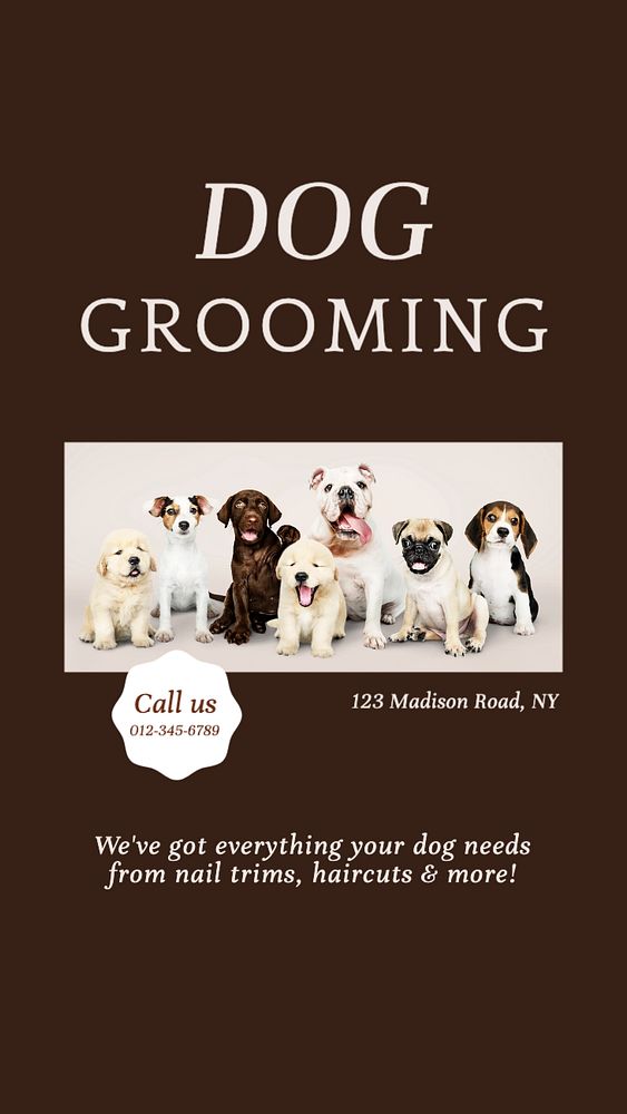 Dog grooming  Instagram story template, editable text