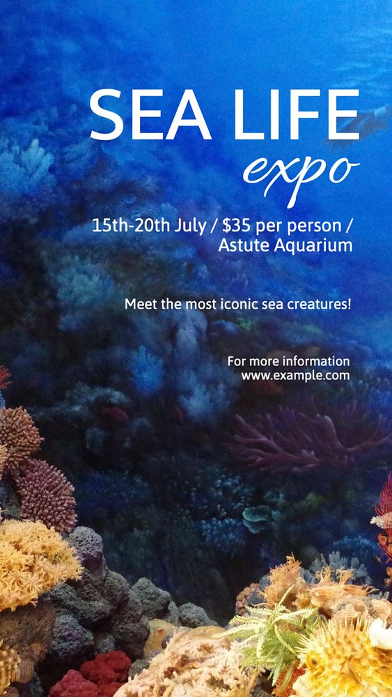 Sea life expo  Instagram story template, editable text