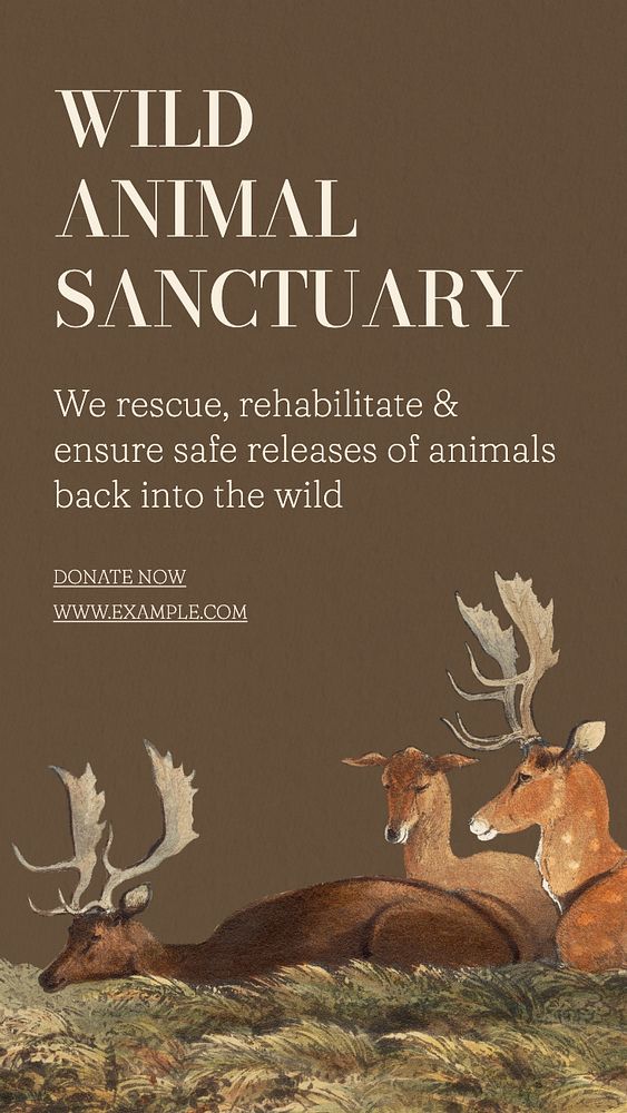 Wildlife sanctuary Instagram post template, editable text