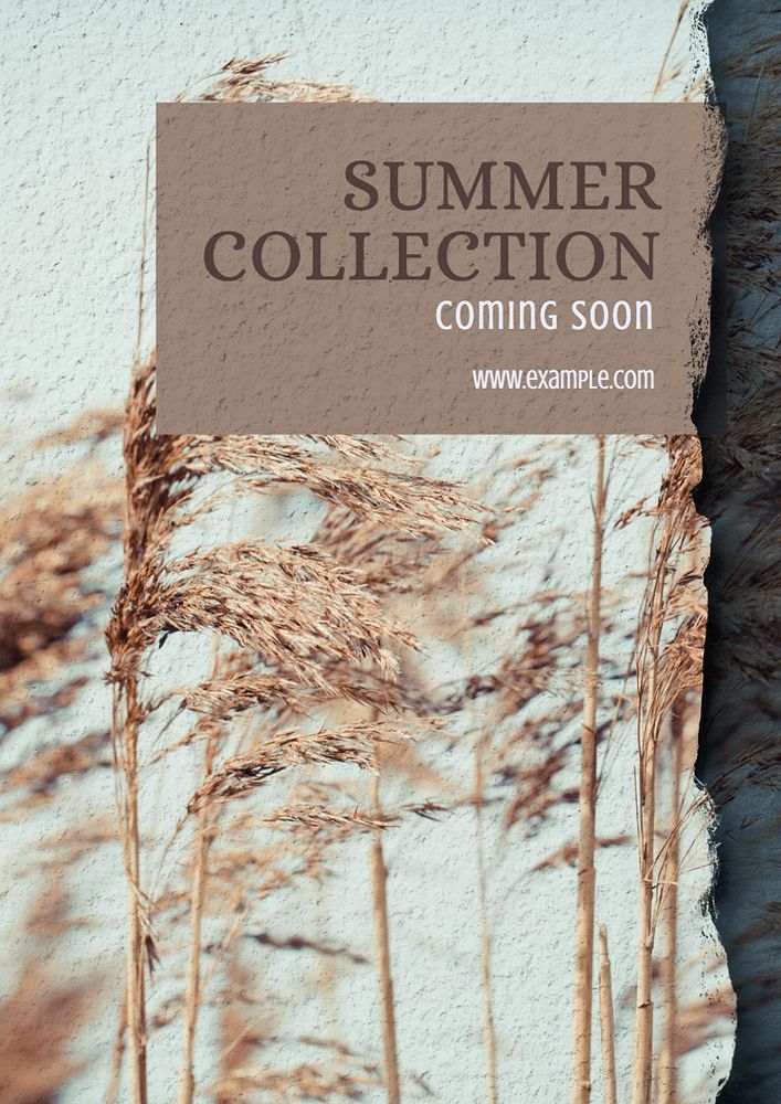 Summer collection poster template, editable text and design